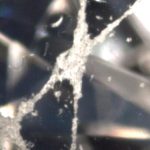 Abrasion