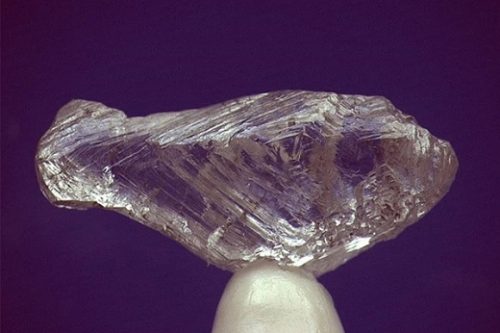 alrosa Fish shaped rough diamond