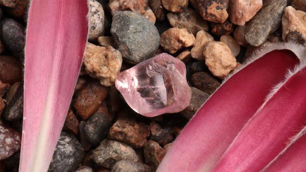 Junior miner recovers spectacular pink diamond from banks of Middle Orange River
