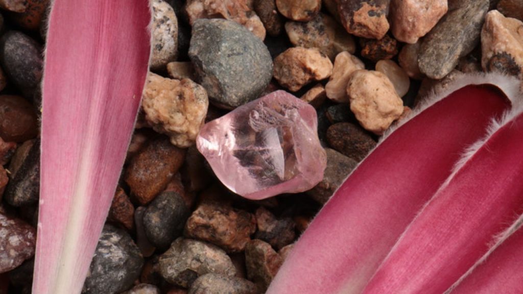 30ct. Pink Diamond Garners Record Sum for Tender House